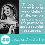 Pray for Life 2017 Image 150